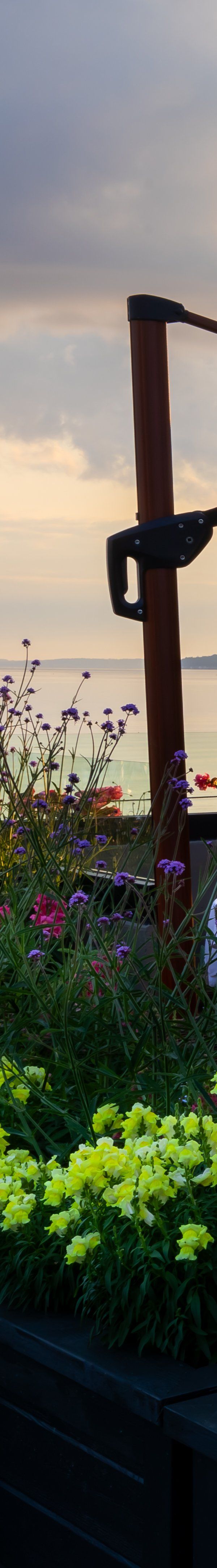 Delamar Traverse City - Traverse City, MI
