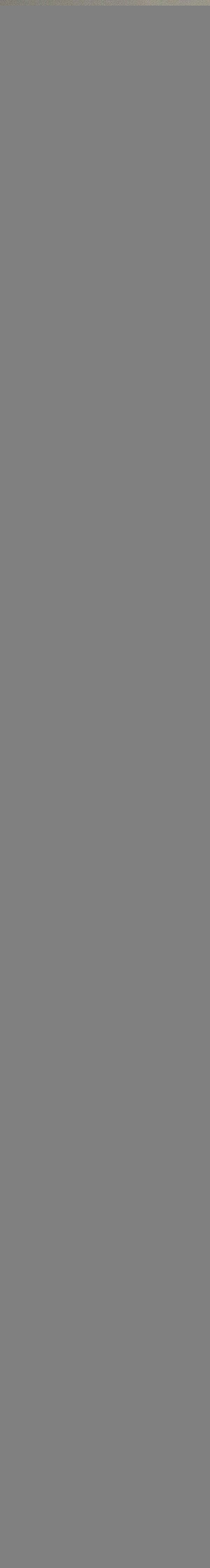 Copthorne Hotel Greymouth - Greymouth