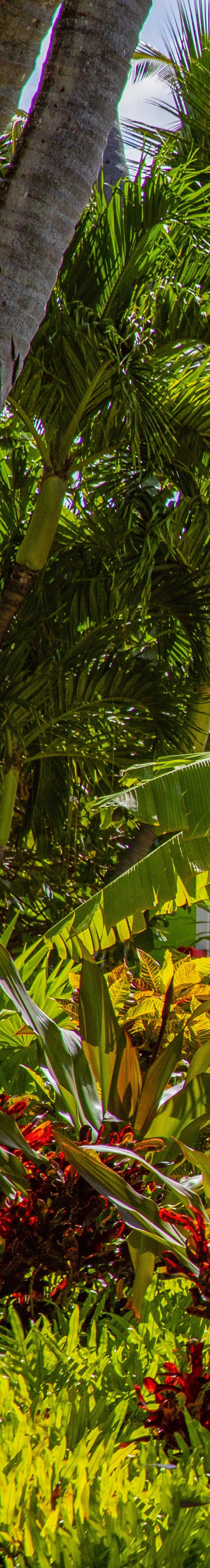 La Siesta Resort And Villas - Islamorada, FL