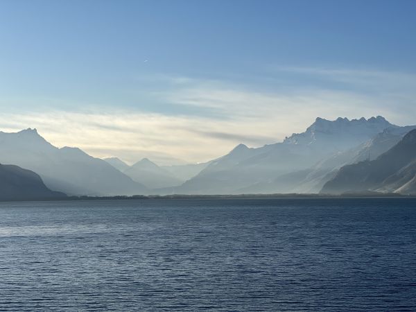 Hotel Des Trois Couronnes - Vevey