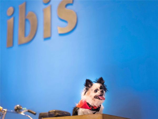 Ibis Bengaluru Hosur Road - Bangalore