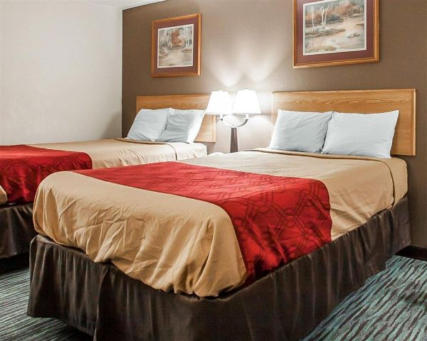 Econo Lodge Inn & Suites Jackson Northwest - Jackson, TN
