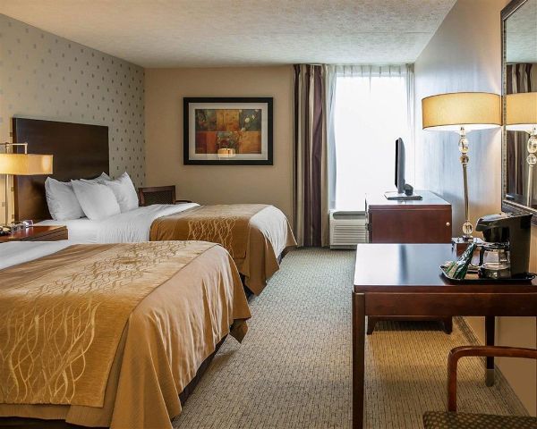 Comfort Inn Bloomington Near University - Bloomington, IN