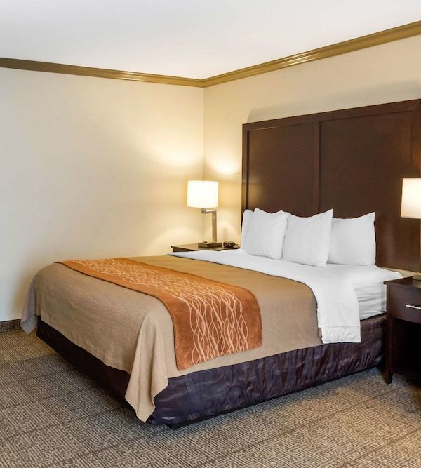 Comfort Inn Castro Valley - Castro Valley, CA