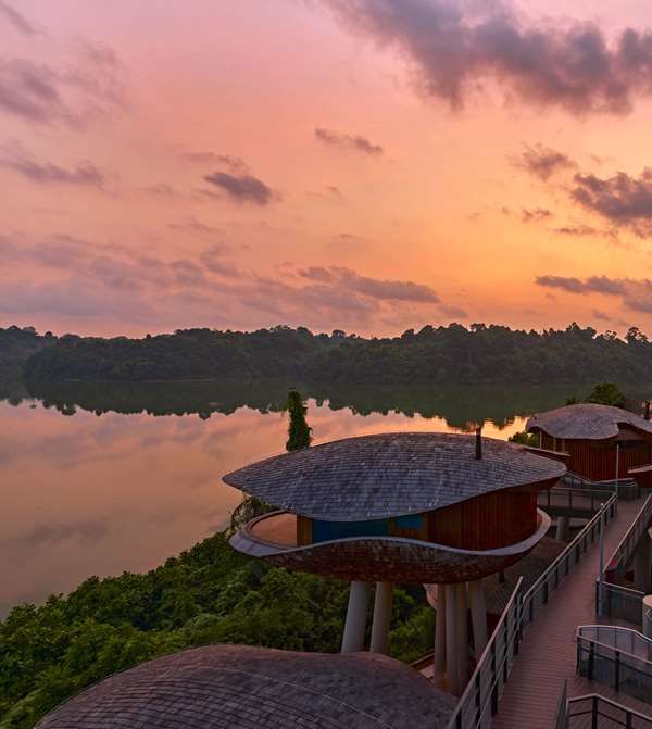 Mandai Rainforest Resort By Banyan Tree - Singapur