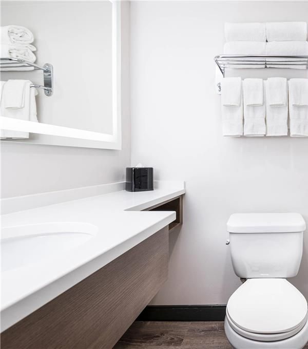 Comfort Suites Kingston Central - Kingston
