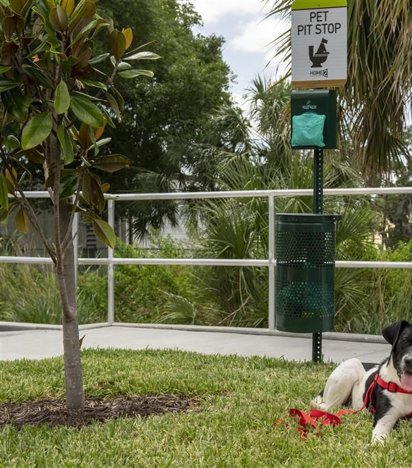 Home2 Suites By Hilton Tampa Westshore Airport - Tampa