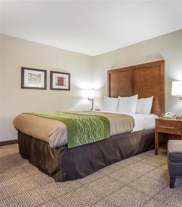 Quality Inn Summerville-charleston - Moncks Corner, SC