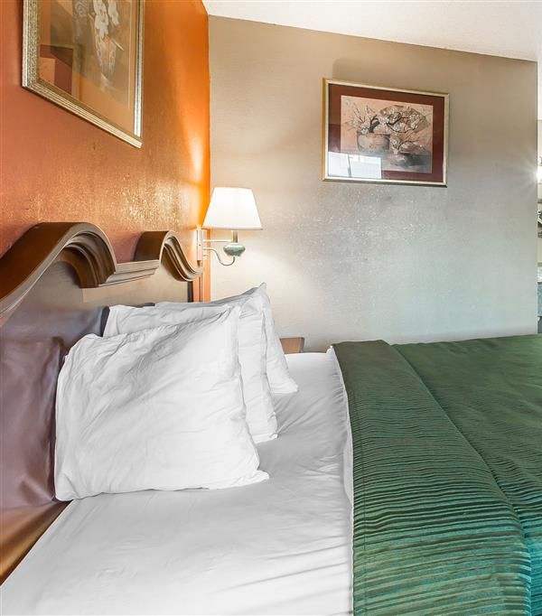 Quality Inn & Suites Macon North - Macon, GA