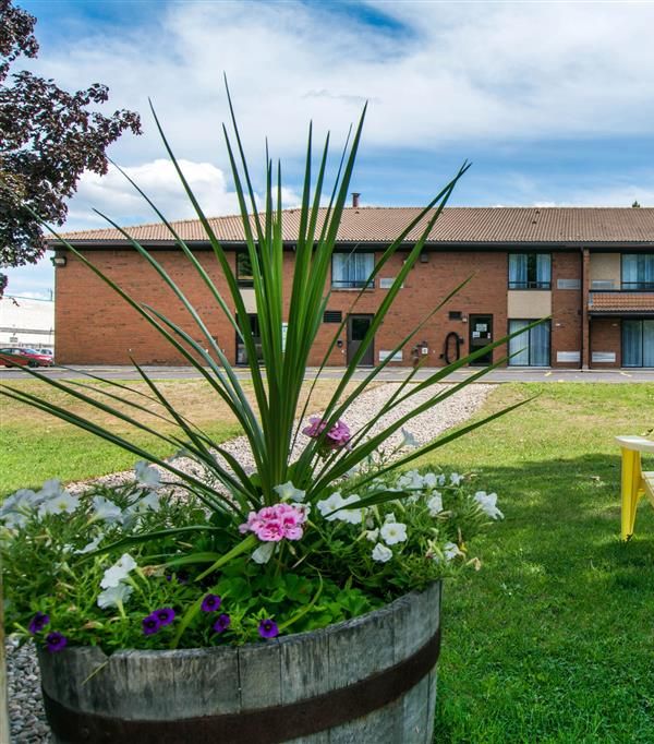 Comfort Inn - Parc provincial Algonquin