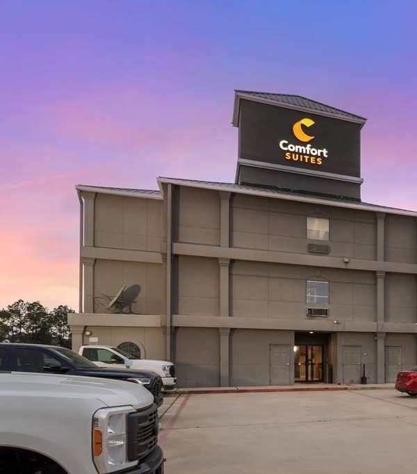 Comfort Suites Shenandoah-the Woodlands - Conroe, TX