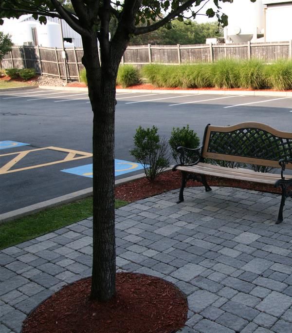 Hampton Inn Boston/braintree - Boston