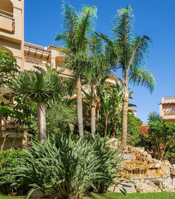 Wyndham Grand Costa Del Sol - Fuengirola