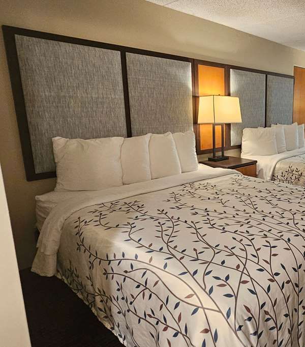 Americinn By Wyndham Birch Run/frankenmuth - Frankenmuth, MI