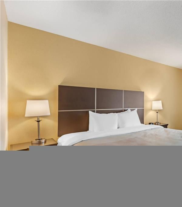 Quality Inn & Suites - Brampton