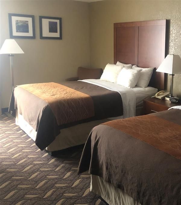 Americinn By Wyndham Memphis East - Memphis, TN