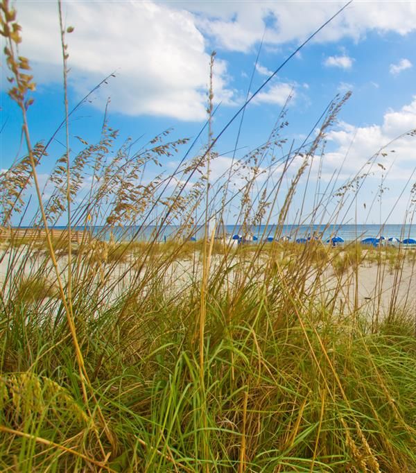Hilton Pensacola Beach - Gulf Breeze, FL