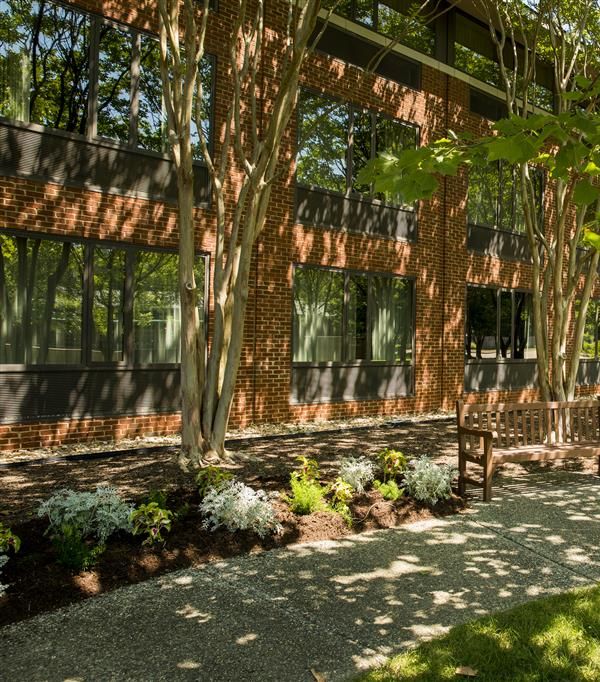 Williamsburg Woodlands Hotel And Suites - Williamsburg, VA
