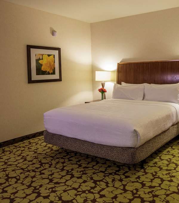 Hilton Garden Inn Uniontown - Nemacolin