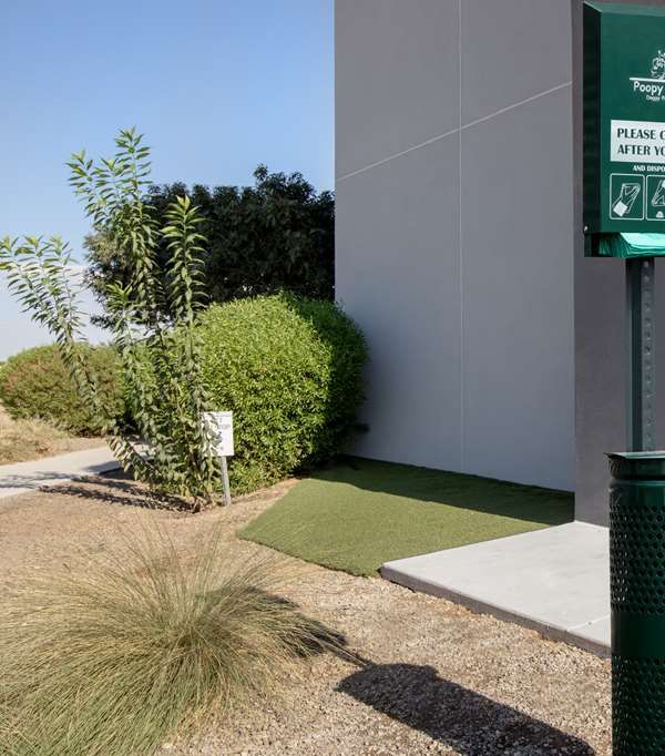 Home 2 Suites By Hilton Phoenix Chandler - 錢德勒