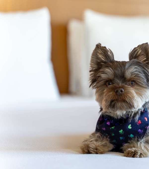 Hyatt Place Pasadena - Pasadena, CA