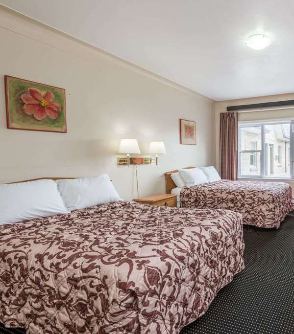 Knights Inn London - London