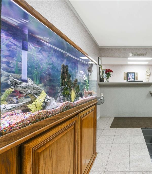 Super 8 By Wyndham Burleson Fort Worth Area - Fort Worth, TX