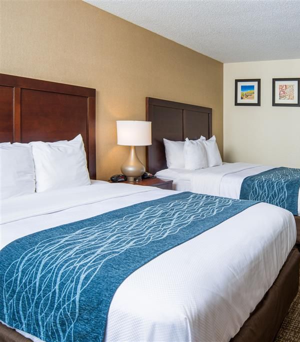 Comfort Inn Naugatuck-shelton Ct - Waterbury, CT