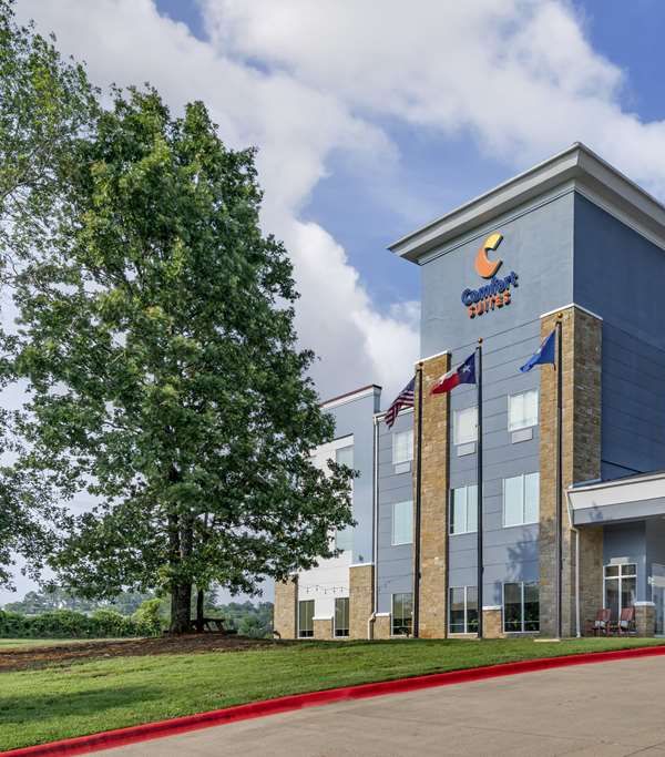 Comfort Suites Palestine - Palestine, TX