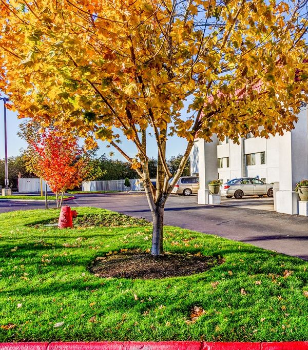 Motel 6 Portland-tigard West - Beaverton, OR