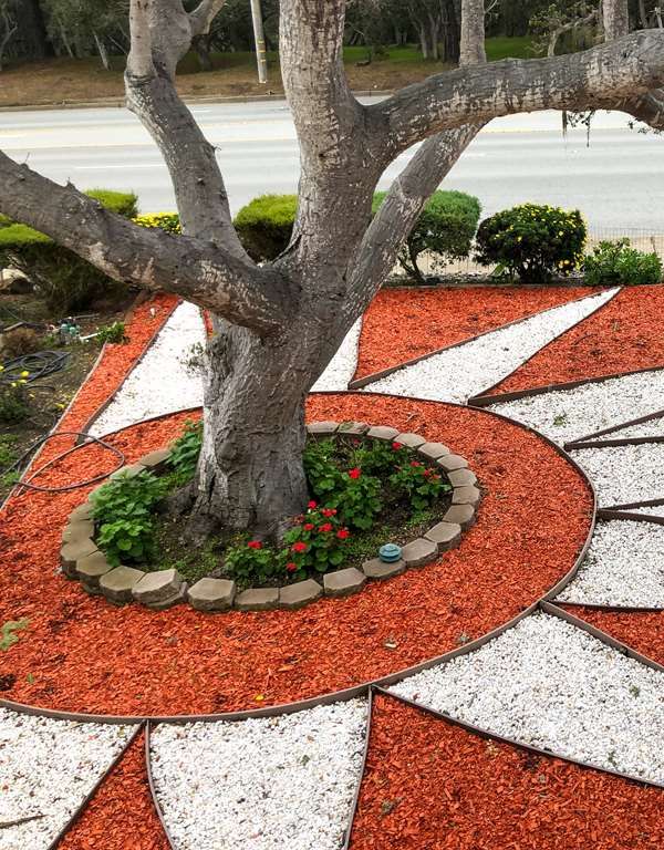 Americas Best Value Presidents Inn On Munras - Monterey, CA