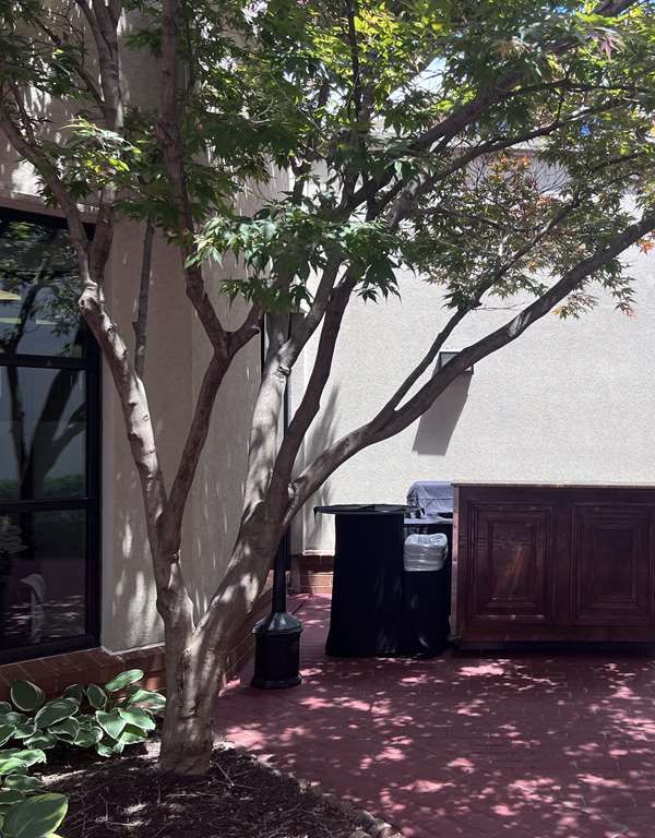 Doubletree By Hilton Hotel Bloomington - Bloomington, IL