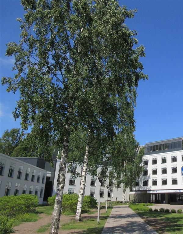 Radisson Blu Hotel Espoo - Espoo