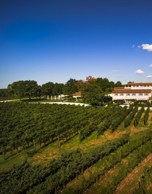 Meneghetti Wine Hotel & Winery - Rovinj