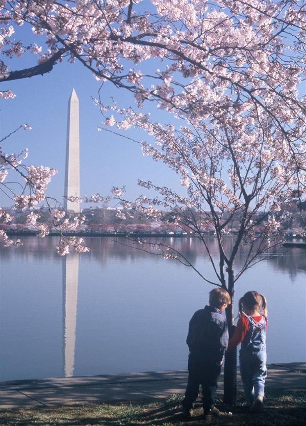 Homewood Suites By Hilton Falls Church-i-495 @ Rt. 50 - Fairfax, VA
