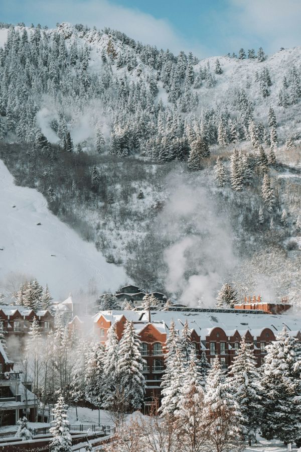 The St Regis Aspen Resort - 애스펀