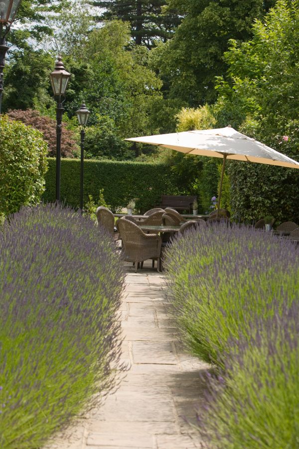 Hotel Du Vin Tunbridge Wells - Tunbridge Wells