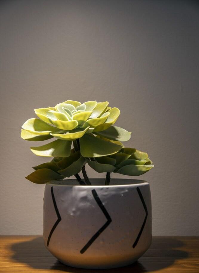 Hotel Loft JacquesCartier Le Plateau Free Parking Montréal chez HRS