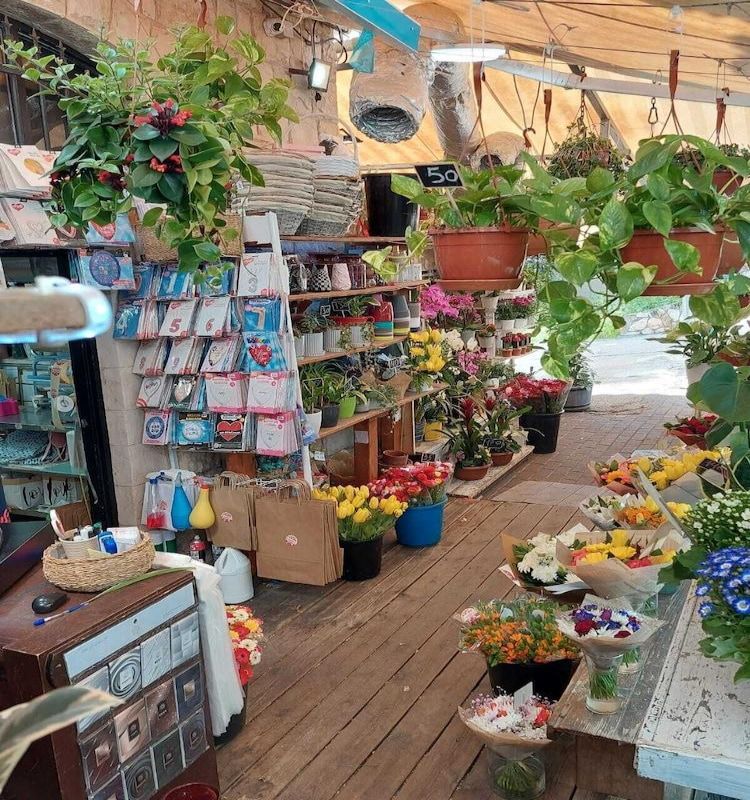 Hotel Rothschild Mansion Haifa Great prices at HOTEL INFO