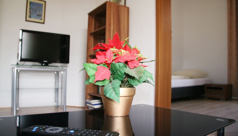 Room - Hotel Rheintor