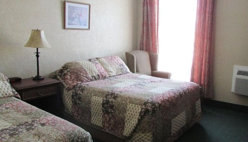 Standaardkamer - The City Motel