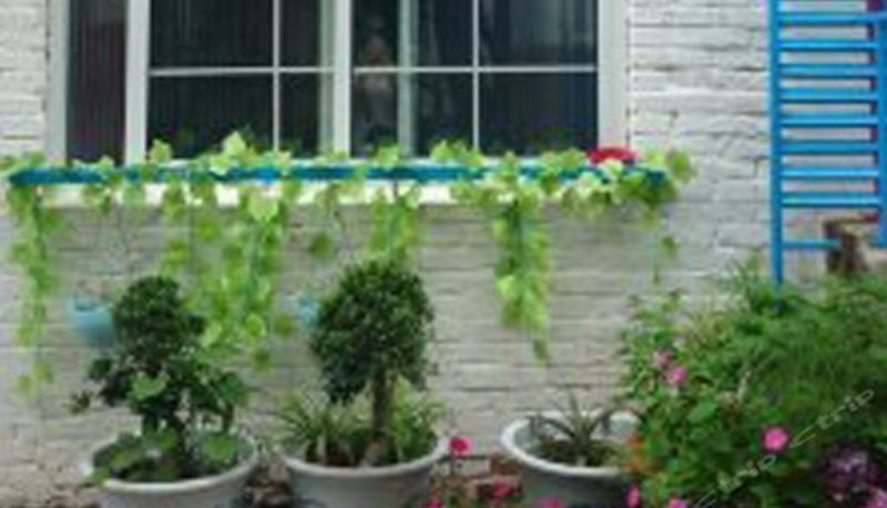 Widok wnętrza - Miaogen 228 Hostel