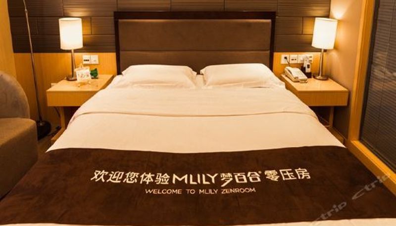 Habitación corporativa - Airport Business Hotel (Xi'an Airport Bus Departure Station Xishaomen)