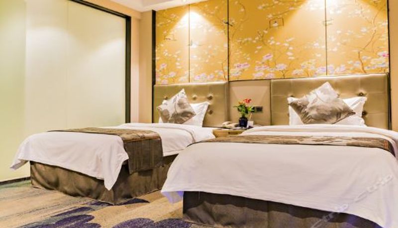 Camera business - Weijiu International Hotel (Wuhan Xudong)