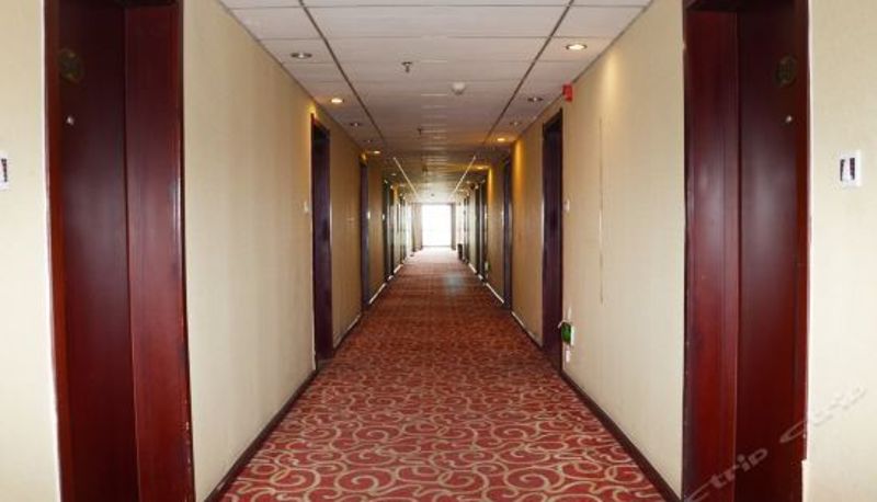 Reception - Lycopper Hotel