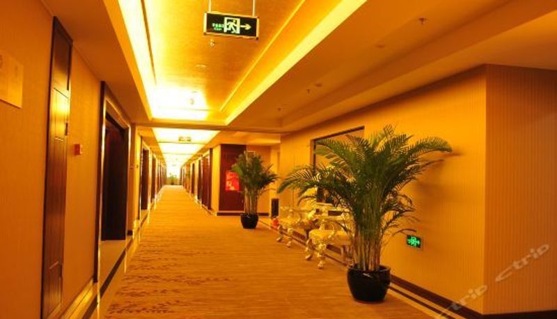 Recepcja - Sunshine Hotel