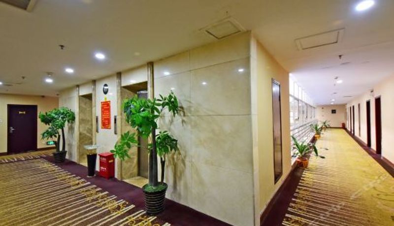Recepcja - Tianyi International Youth Hotel
