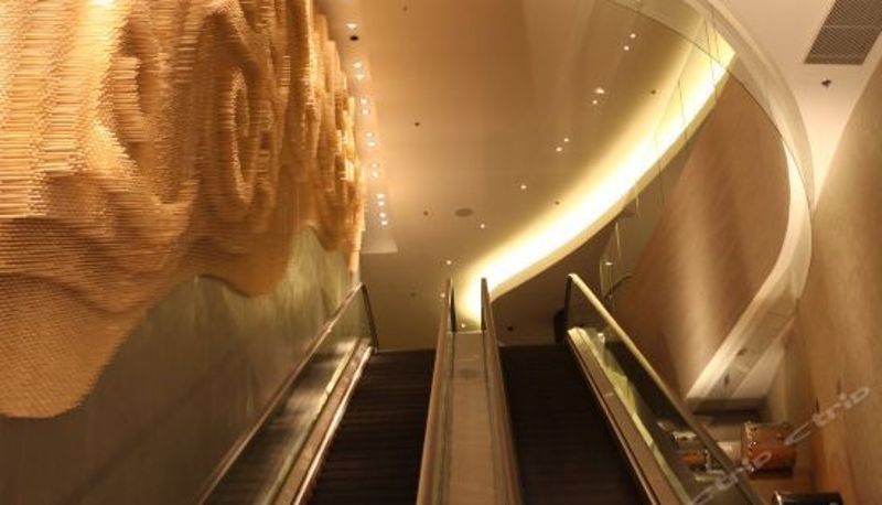 Rezeption - City of Dreams • The Countdown Hotel