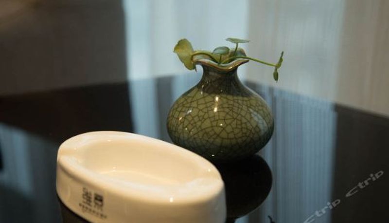 Rezeption - Vision Hotel (Zhijiang Qixing Square)