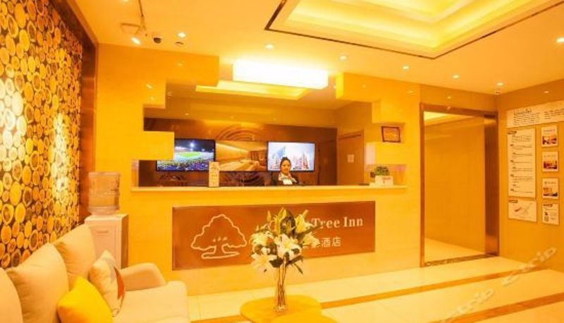 Recepción - GreenTree Inn Jiangning University Chenjiaoyuan Metro Station Express Hotel